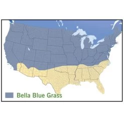 Bella™ Bluegrass Grass Plugs 7 Bella™ Bluegrass Grass Plugs -Green Haven Sales bella blue grass map