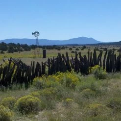 Little Prairie Native Wildflower Seed Mix -Green Haven Sales little prairie mix bouteloua gracilis meadow