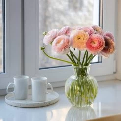 Pastel Ranunculus Mix 7 Pastel Ranunculus Mix -Green Haven Sales pastel ranunculus mix pastel persian buttercup mix window still vase